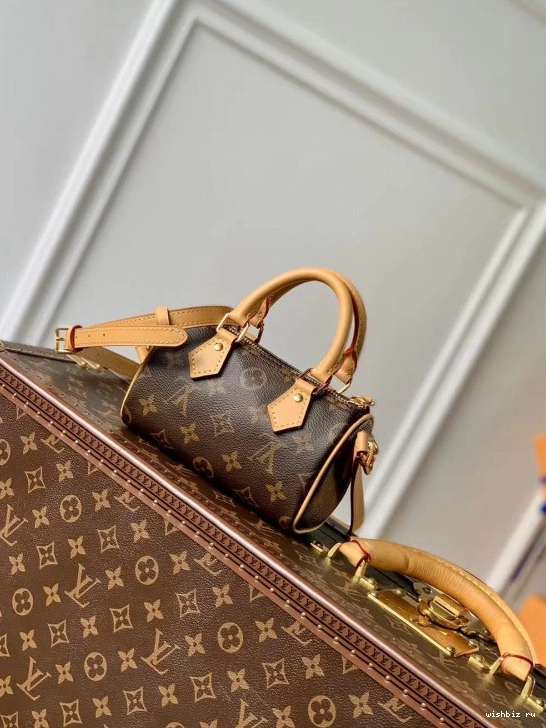 WIS VUITTON NANO LOUIS SPEEDY 0906